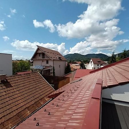 Old Town Studio 1 Apartment Nr 1 Baia Mare Exteriér fotografie
