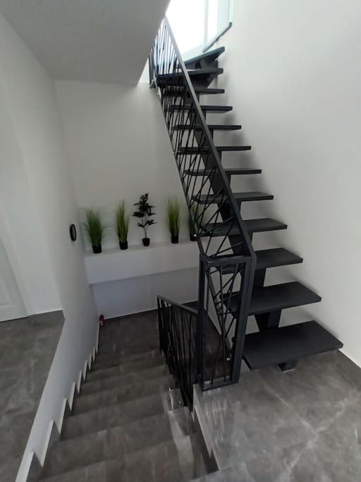 Old Town Studio 1 Apartment Nr 1 Baia Mare Exteriér fotografie