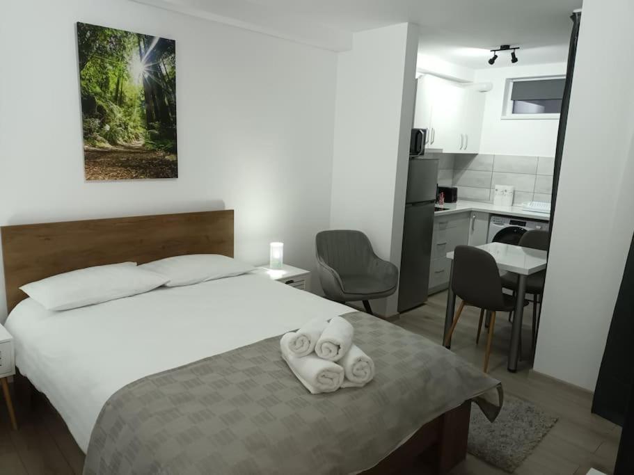 Old Town Studio 1 Apartment Nr 1 Baia Mare Exteriér fotografie
