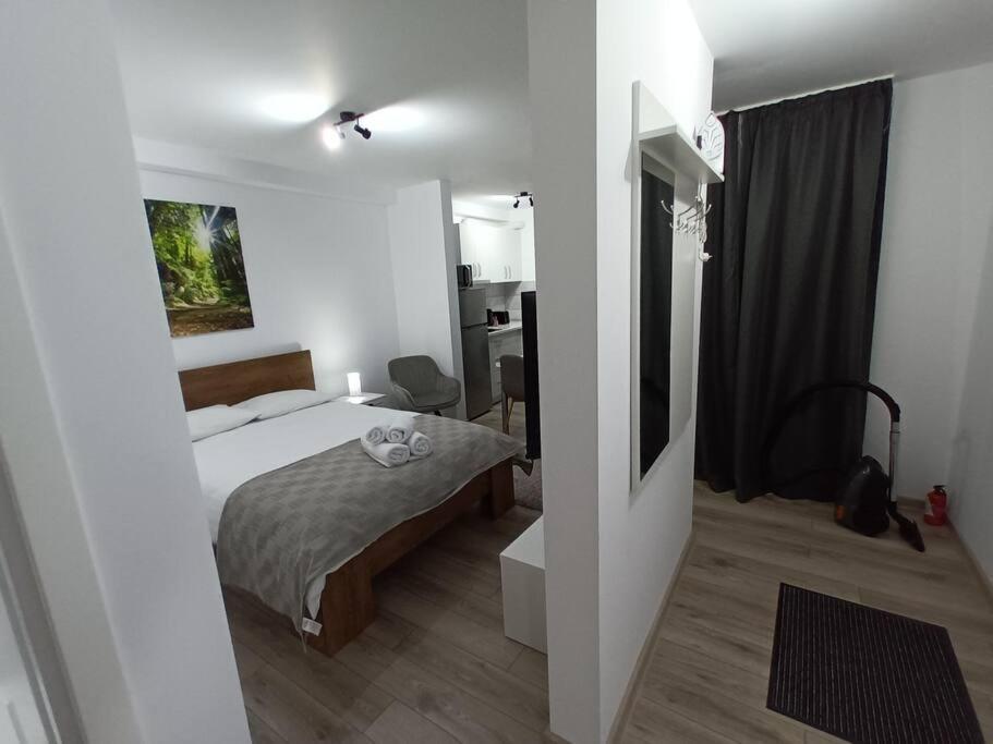 Old Town Studio 1 Apartment Nr 1 Baia Mare Exteriér fotografie