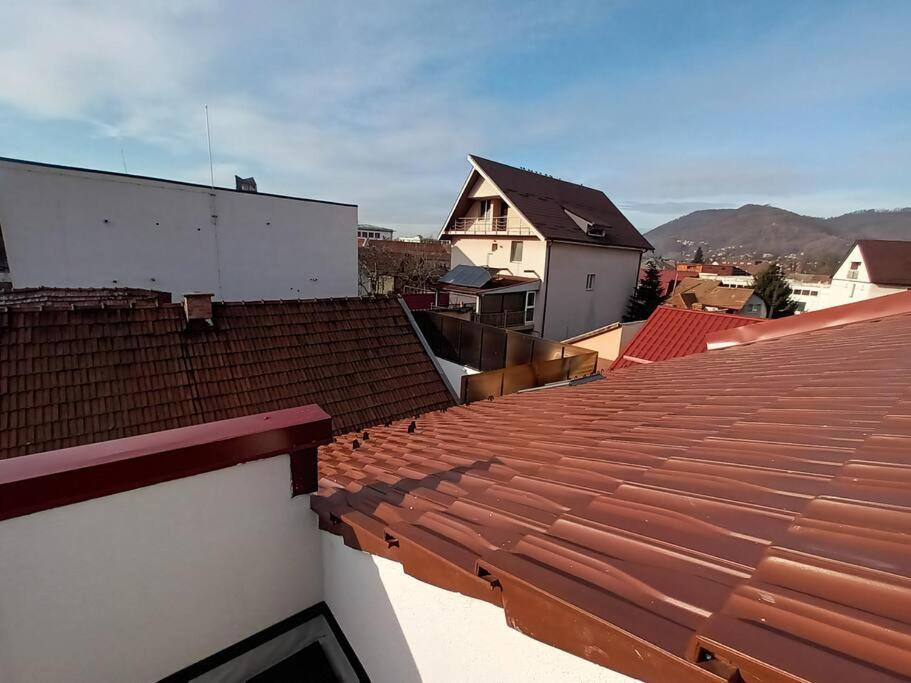 Old Town Studio 1 Apartment Nr 1 Baia Mare Exteriér fotografie