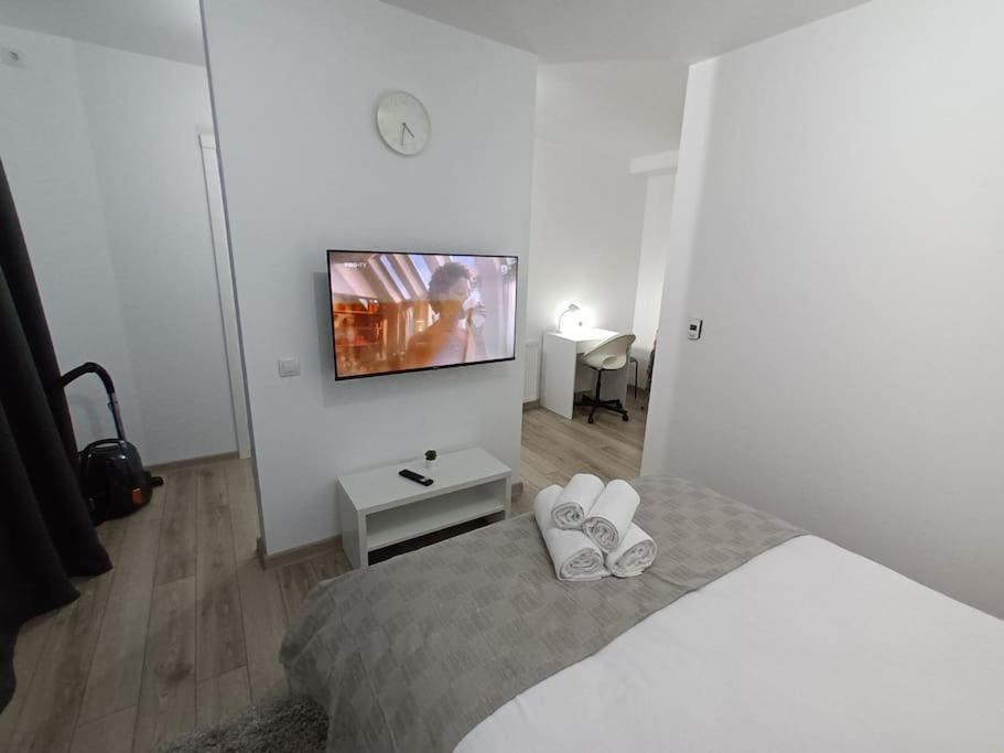 Old Town Studio 1 Apartment Nr 1 Baia Mare Exteriér fotografie