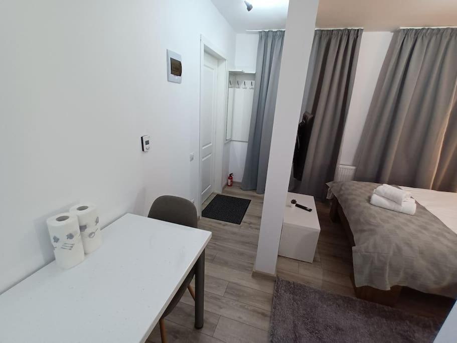 Old Town Studio 1 Apartment Nr 1 Baia Mare Exteriér fotografie
