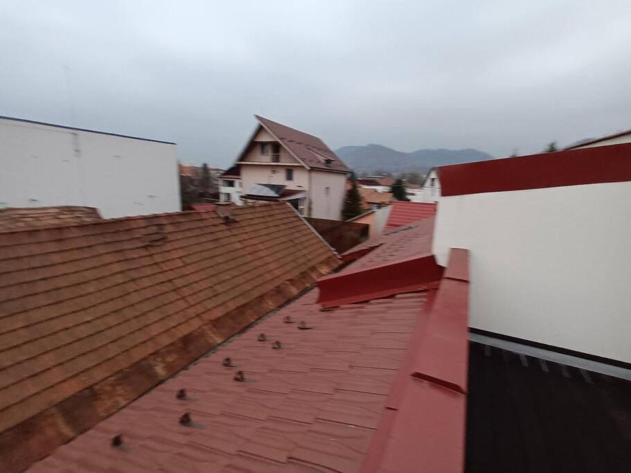 Old Town Studio 1 Apartment Nr 1 Baia Mare Exteriér fotografie