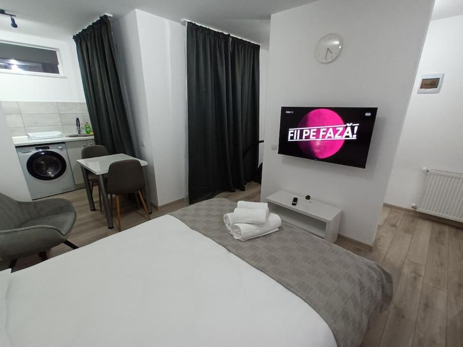 Old Town Studio 1 Apartment Nr 1 Baia Mare Exteriér fotografie