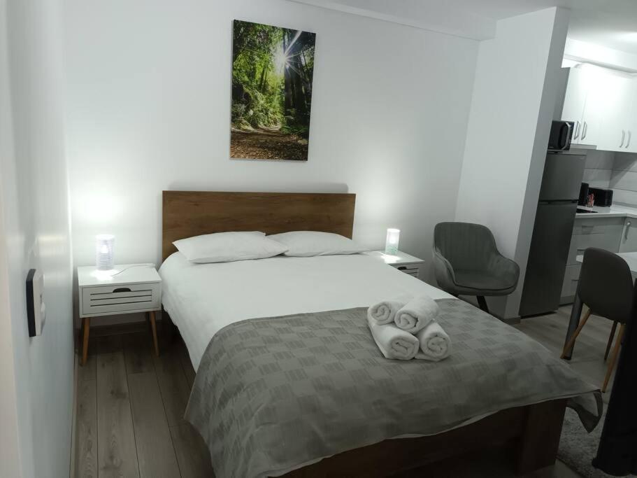 Old Town Studio 1 Apartment Nr 1 Baia Mare Exteriér fotografie