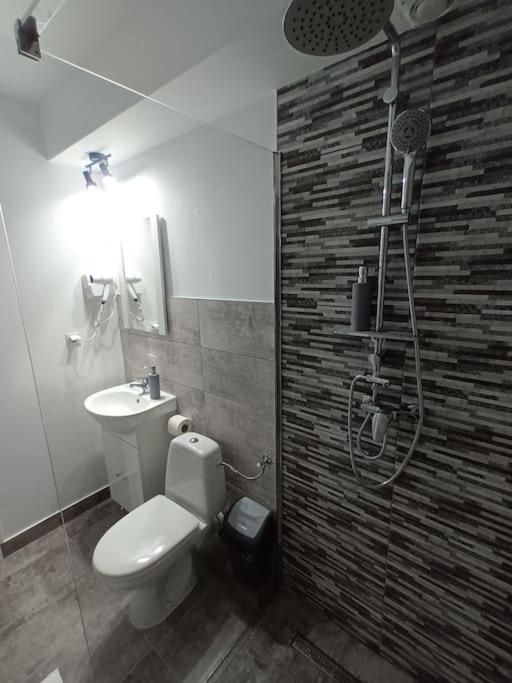 Old Town Studio 1 Apartment Nr 1 Baia Mare Exteriér fotografie