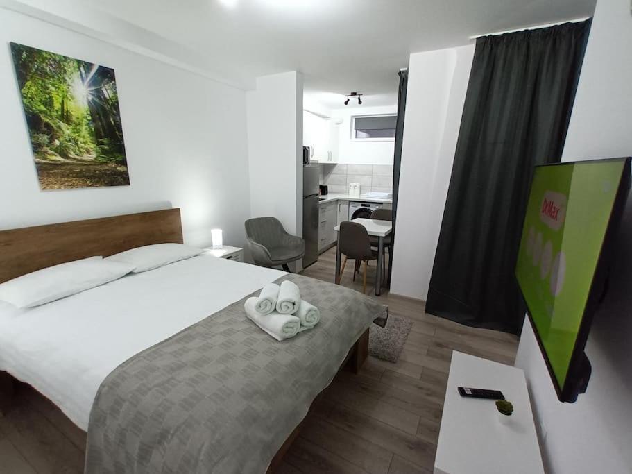 Old Town Studio 1 Apartment Nr 1 Baia Mare Exteriér fotografie