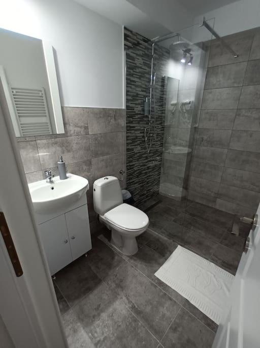Old Town Studio 1 Apartment Nr 1 Baia Mare Exteriér fotografie